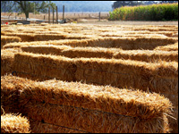 Get it? It's a maze!