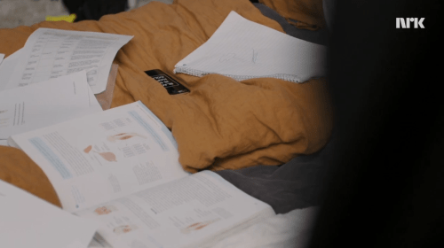 Screen Shot 2017-05-26 at 5.04.43 PM